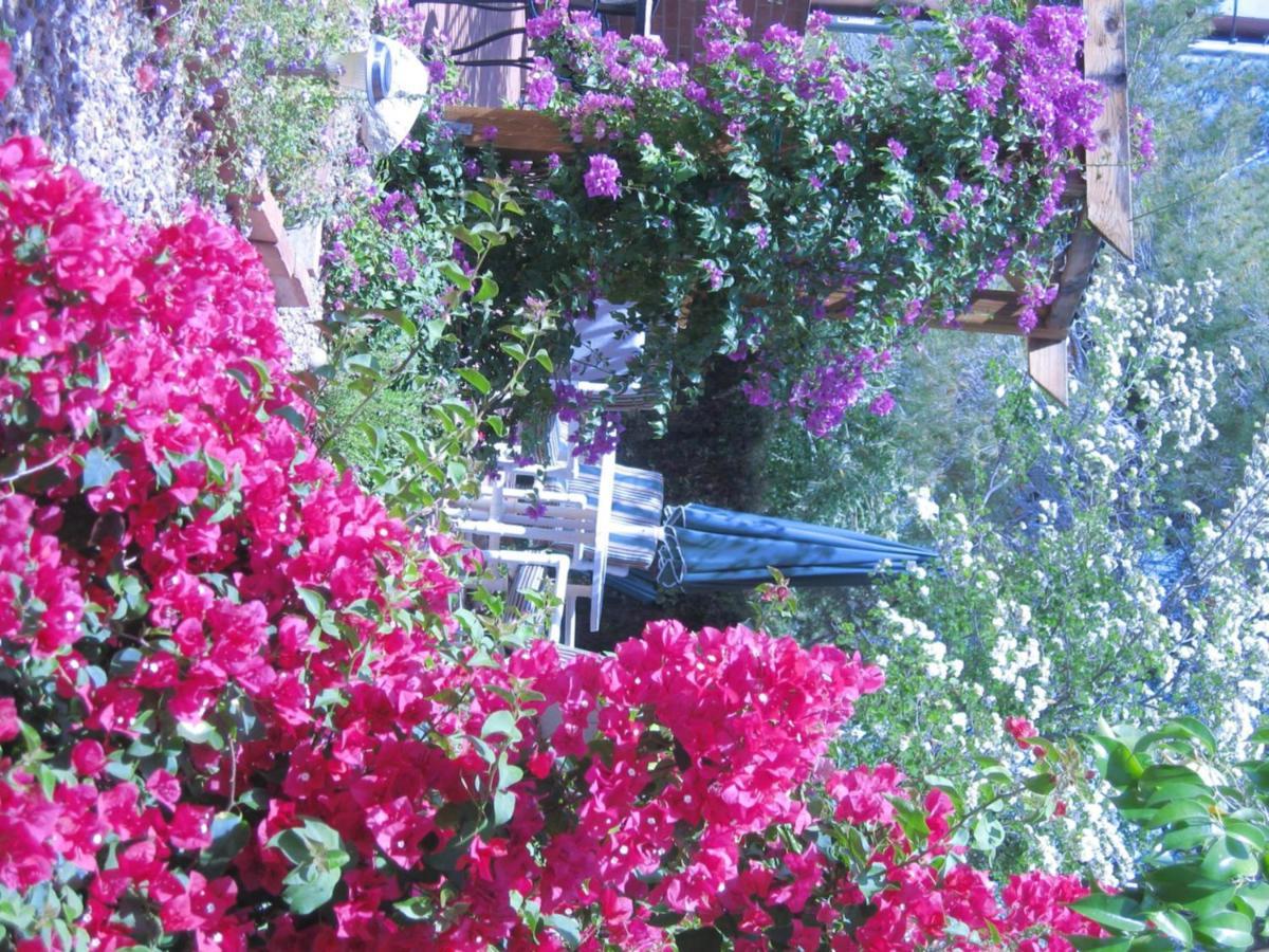 Mon Ami Bed And Breakfast Tucson Buitenkant foto